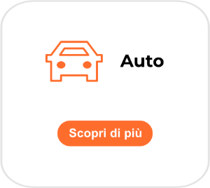 auto300