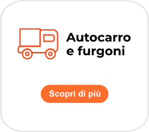 autocarro 300